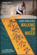 Walking on Water by Andrey Paounov: Used