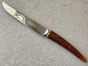 VTG Westall Richardson BAKELITE Horn Handle Stainless KNIFE Sheffield England