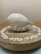 LENOX SEA SAND & SKY COLLECTION Discontinued Shell Shaped Box w/ Lid Ivory 