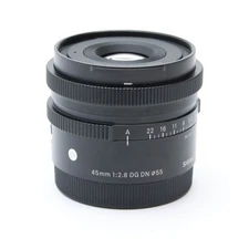 Sigma 45mm F/2.8 DG DN Contemporary (for Sony E mount) -Near Mint- #331