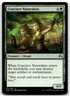 Conclave Naturalists 171 Magic The Gathering- Magic Origins