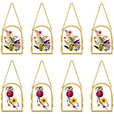 8 Pcs Glass Frame for Pressed Flowers 3.5 x 2.5 Inch Brass Hanging Photo Fram...