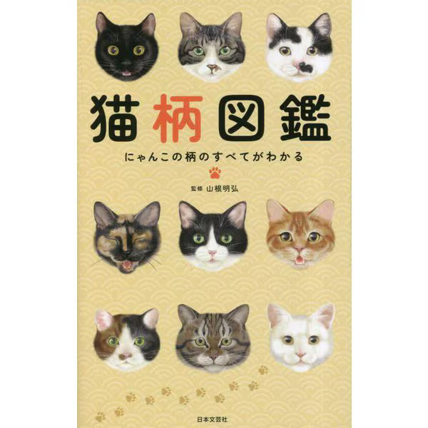 Cat Pattern Picture Book Hardcover Understanding Cat Fur Genetics For Ages 14+