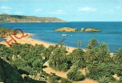 Ansichtskarte: Kreta-Sitia, Der Palmenwald Vai