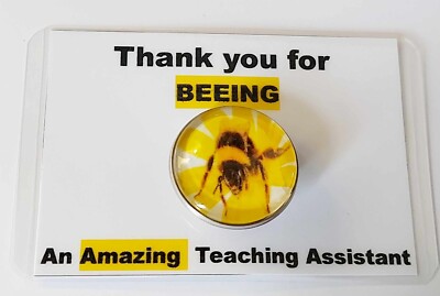 Biene Pin Anstecker/Brosche - ''Danke, dass du eine tolle Lehrassistentin bist''