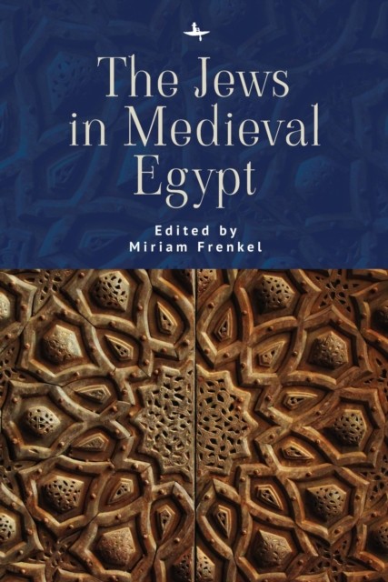 The Jews in Medieval Egypt by Miriam Frenkel PAPERBACK 9781618117472