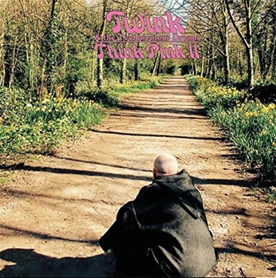 Think Pink 2 - Twink (Audio Cd)