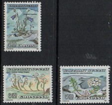 STAMPS - GREENLAND - GREENLAND - 1990 - FLOWERS - FLOWERS - FLEURS -