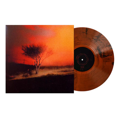 Joji - Piss In The Wind (Orange Crush Black Wave Vinyl + Alternative Cover + Pos
