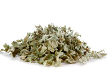 Mullein Leaf Whole 1 oz   Organic Herb for Breath  Respiratory Support
