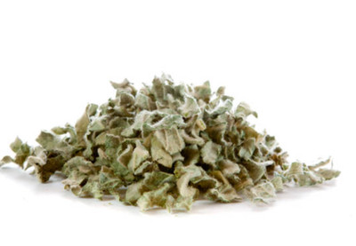 Mullein Leaf Whole 1 oz   Organic Herb for Breath & Respiratory Support