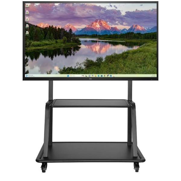 Dell smart board Interactive whiteboard with mobile mount for classroom