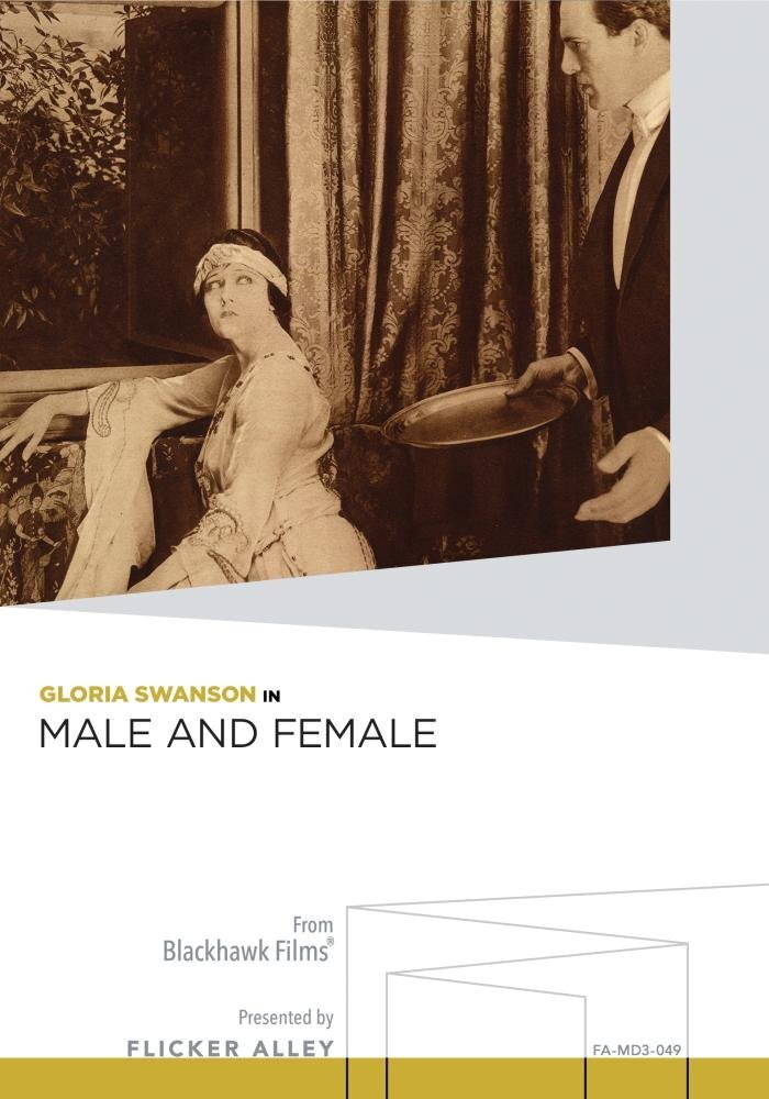 Male and Female (DVD) Lila Lee Raymond Hatton Thomas Meighan