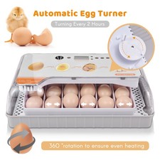 Digital Egg Incubator 20 Eggs Poultry Hatcher With Auto Egg Turning BFNR