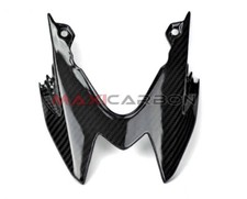 Codino centrale carbonio BMW S 1000 RR (2015-2018) / Central tail carbon
