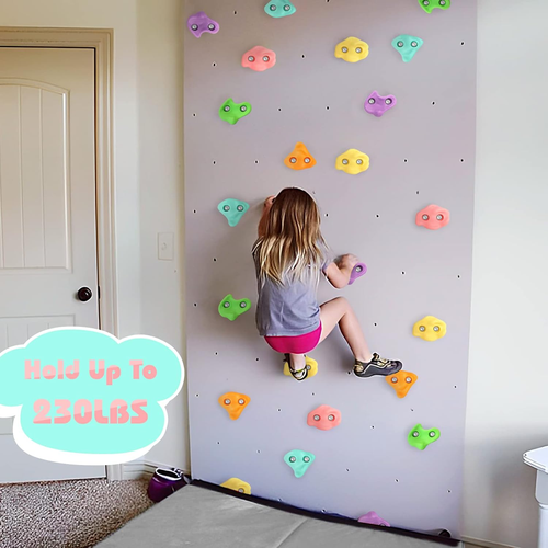 18PCS Climbing Holds for Kids, Rock Wall Climbing Kit with Hardware for Indoor a - Picture 6 of 7