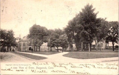 Vintage Postcard View of Naugatuck Park Green Naugatuck Connecticut CT      U013