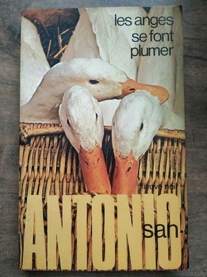 San Antonio - die Engel Se Font Plumer / Fluß Schwarz 1977