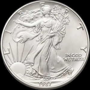 1 Oz Fine Silver One Dollar 1987 | eBay