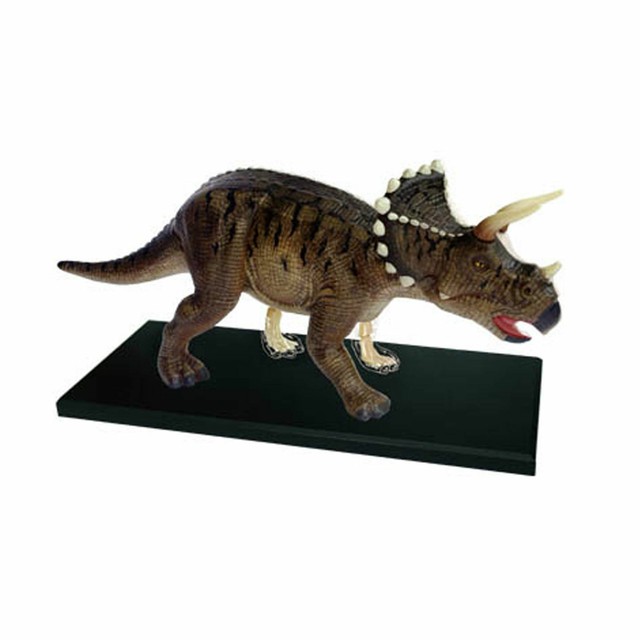 dinosaur anatomy toy