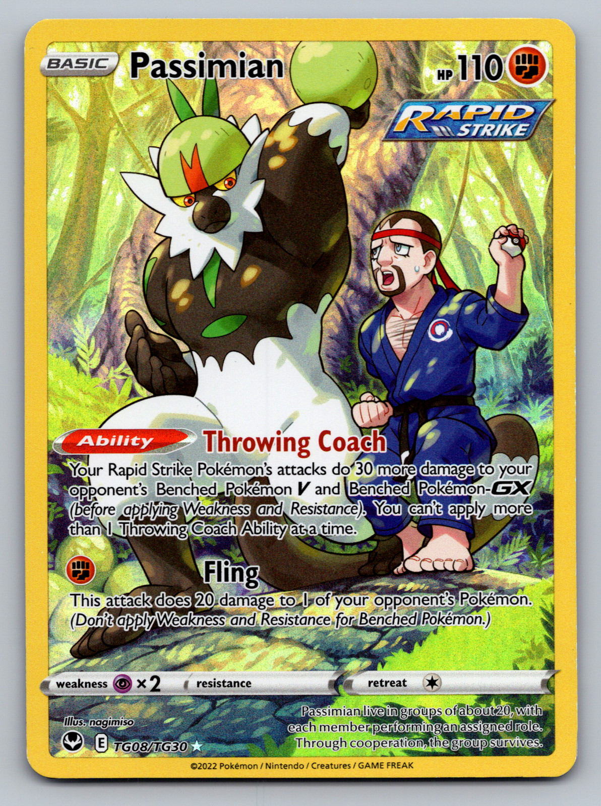 Passimian Pokemon Silver Tempest Trainer Gallery TG08/TG30 Character Rare NM