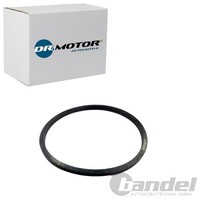 Dr.Motor Automotive Dichtung ÖLkÜHler Passend FüR Audi A3 A4 A6 A8 Seat