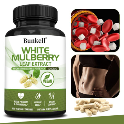 White Mulberry Leaf Extract 1000mg for Weight Loss Cardiovascular Health