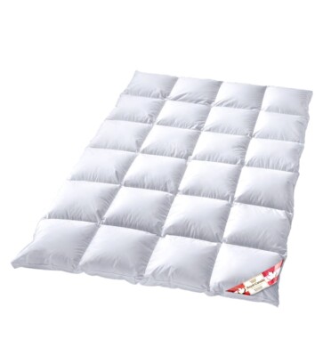 Neu Canada Royal Canada Goose Gänsedaune Winterdecke Plus Aussensteg 155x220 cm