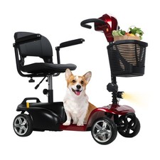 Electric Mobility Scooter 4 Wheel for Adult Senior 24V 250W Dual Motor