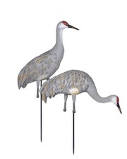 GHG Sandhill Crane Full Body Adult Active / Feeder Pair