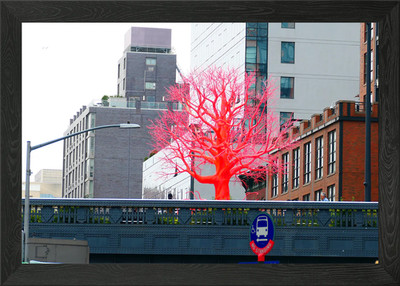 Gerahmtes Wandbild Poster Leinwanddruck Bild ''Old Tree'' New York