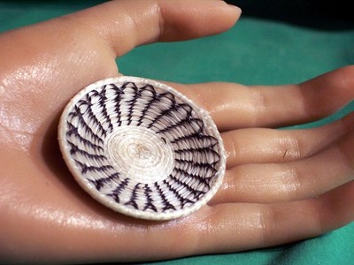 Pima Miniature Horse Hair Basket, Gorgeous!