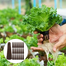50 Pcs Peat Hydroponic Grow Sponges for Plant Sprout and Vegetable Sprout 0.29 per sponge