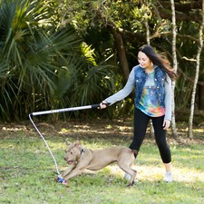 Flirt Pole V2 Dog Exercise & Training Toy with Lure - Pit Bull Toy