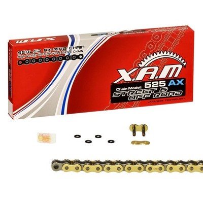 X-Ring Kette Triumph Speed Four 600, Bj. 02-05 (806LB) XAM extra verstärkt GOLD