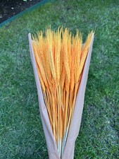 90 ST&Auml;NGEL GETROCKNET WEIZEN/ROGGEN BLUMEN HOCHZEITSSTRAUSS VERANSTALTUNGSORT ERNTE GRAS ORANGE 20"