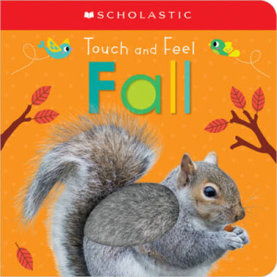 Touch and Feel Fall (Scholastic Early Learners) - Board book - VERY GOOD