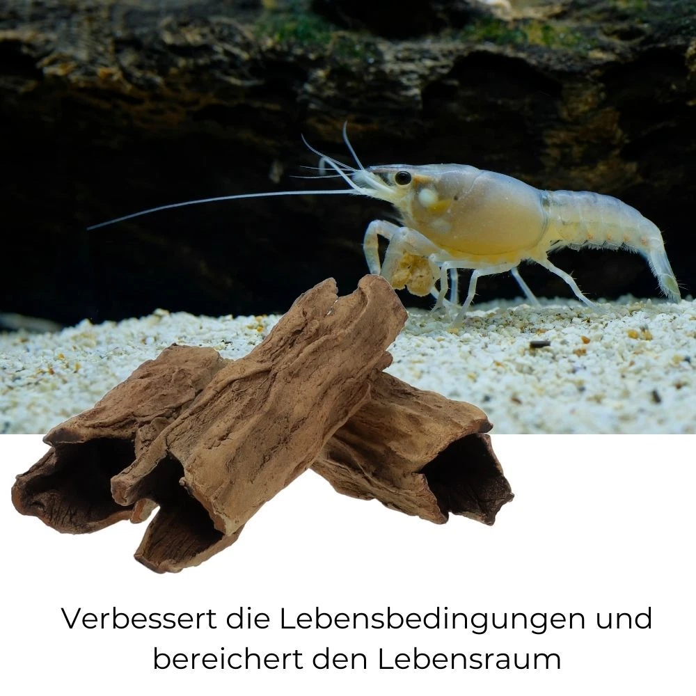 Bild 6 von 6