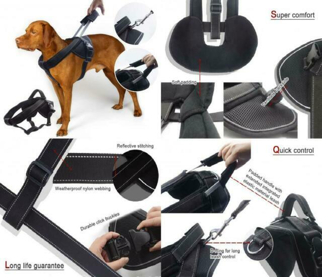 yoga dog heavy duty dog harness