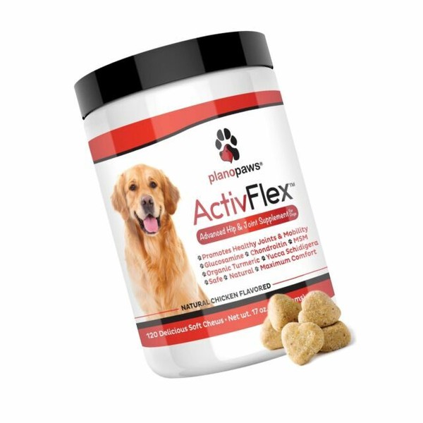 activflex for dogs