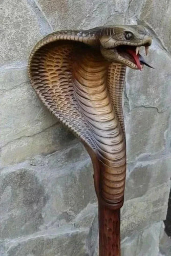 Hand Carved Snake Wooden Walking Stick Handmade Walking Cane Gift