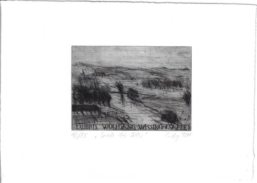 CLAUDIA BERG: Exlibris für Wolfgang Wissing, "Saale bei Dobis (Halle)" - 第 1/1 張圖片