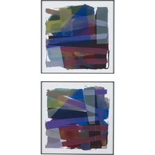 Uttermost 41449 Vivacious 30 X 30 inch Framed Prints, Set of 2