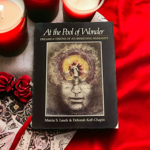 VINTAGE Book At the Pool Of Wonder Dreams & Visions NEW AGE Used Great Art