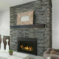 Majestic Ruby 25" Small Fireplace Insert, w/ Remote & Blower, NG, RUBY25IN