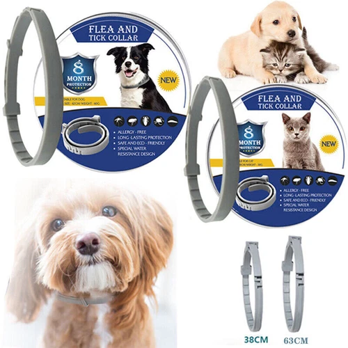 Collar Anti Pulgas y Garrapatas Anti Insectos para Mascotas Gatos Perro 8 Meses Protección - Imagen 4 de 21