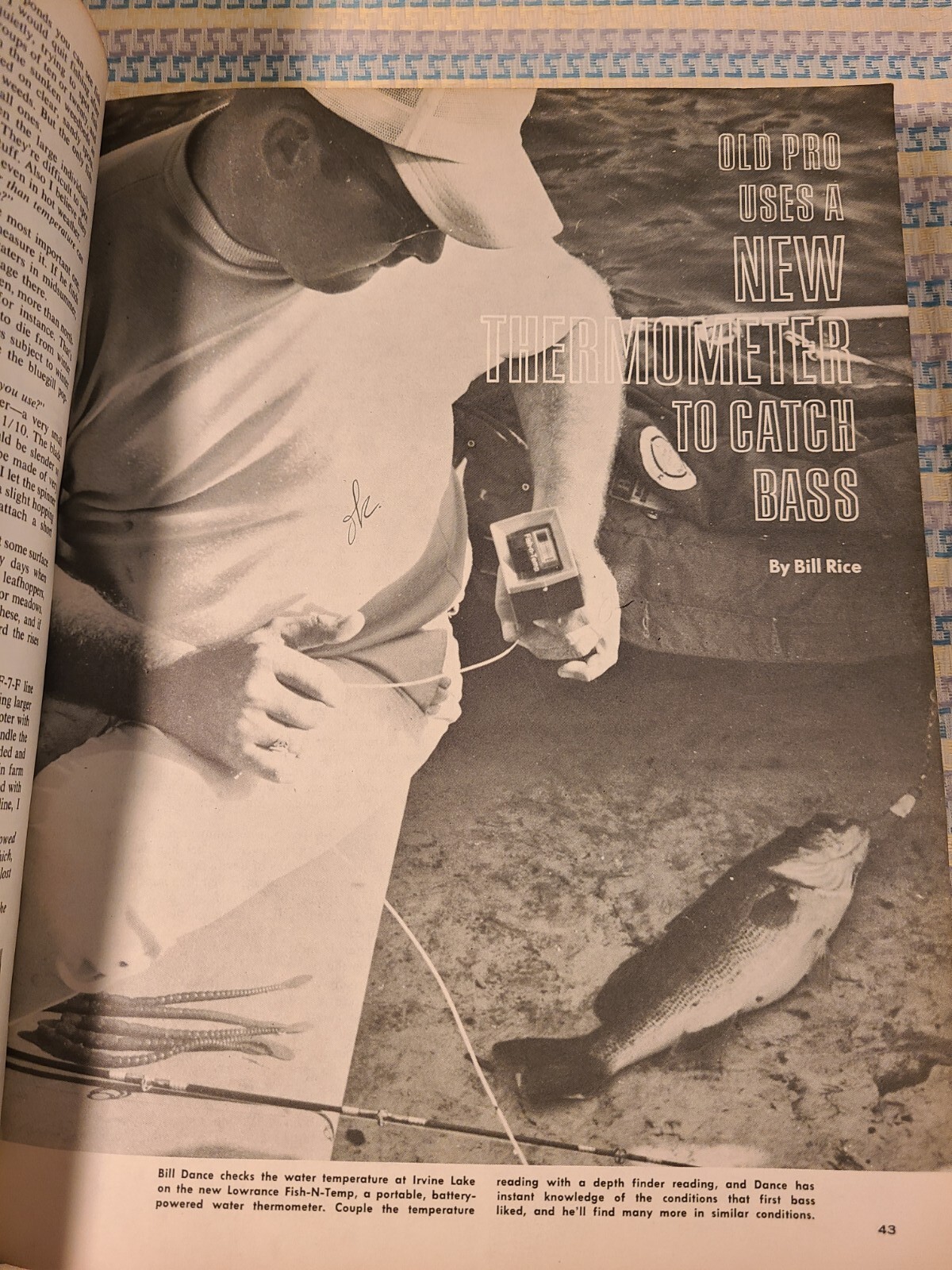 Picture 6 of 10