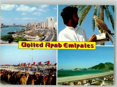 38187583 - Dubai Camels Sports Field Bird of Prey Port United Arab Emirates
