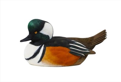 Ducks Unlimited Hooded Merganser Drake Full Size Decoy by Jude Brunet NIB