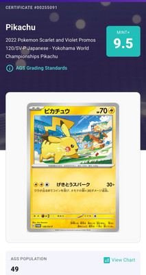 ポケモンカードゲーム 2025 SV-P JP PIKACHU GYM EVENT CAMPAIGN Pikachu 291/SV-P PROMO Pokemon Card 2025 Gym Event Japanese
